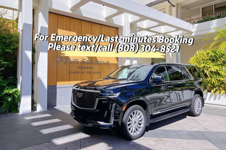 VIP Luxury Transfers: Honolulu Airport ↔ Waikiki ↔ Cruise Port - Photo 1 of 25